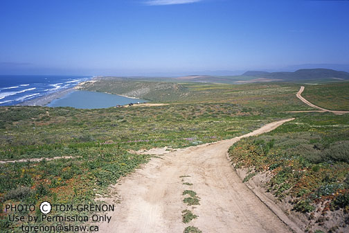Baja's Pacific Coast 2-track